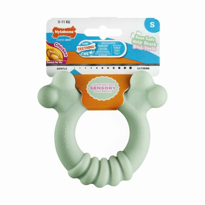 Hračka na žuvanie psa Nylabone SENSORY TACTILE RING zelená Arašidové maslo Kurča S