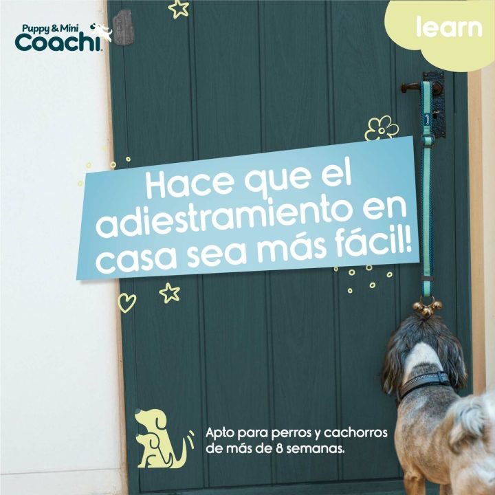 Postroj pre psa Coachi