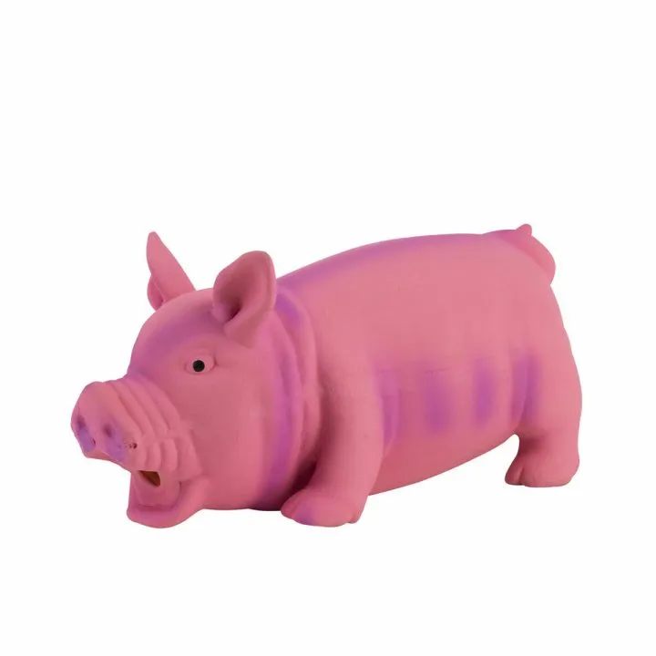 Hračky pre psy Hearts & Homies Prasa Plastické Viacfarebná