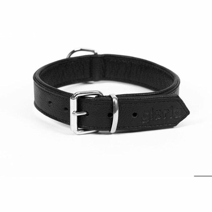 Psí obojok Gloria Drymilled