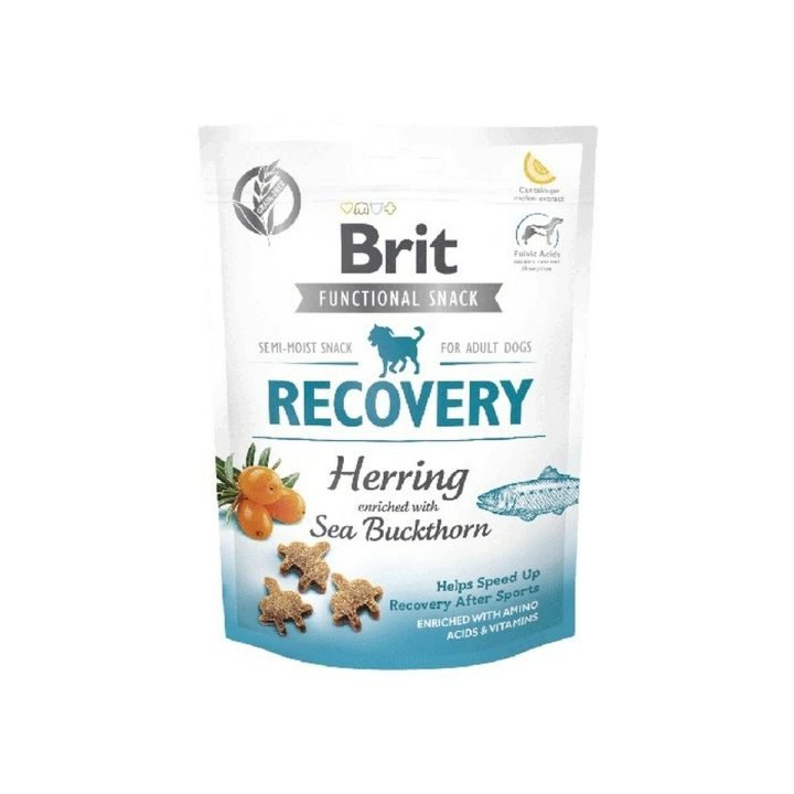 Maškrty pre psov Brit Ryby Tekvica 150 g