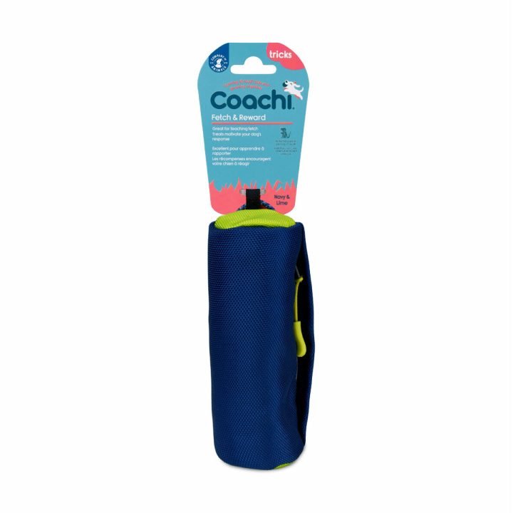Training toy Coachi