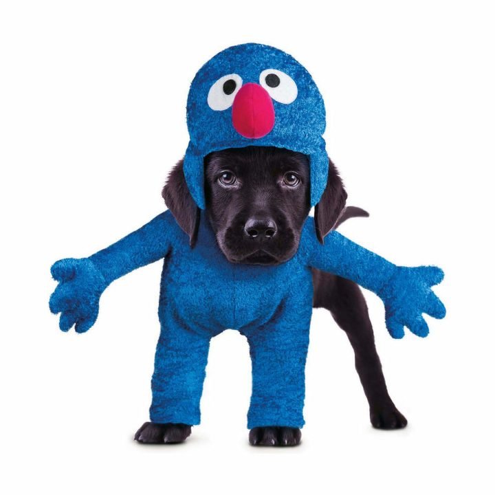 Kostým pre psa My Other Me Coco Sesame Street Modrá 2 Kusy