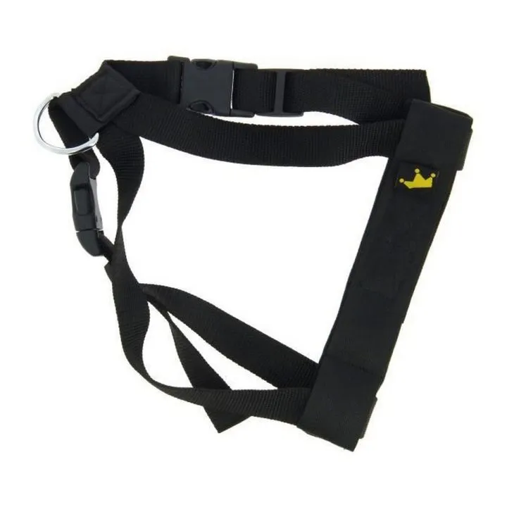 Postroj pre psa Animals and Car Čierna 32 cm 50-70 cm