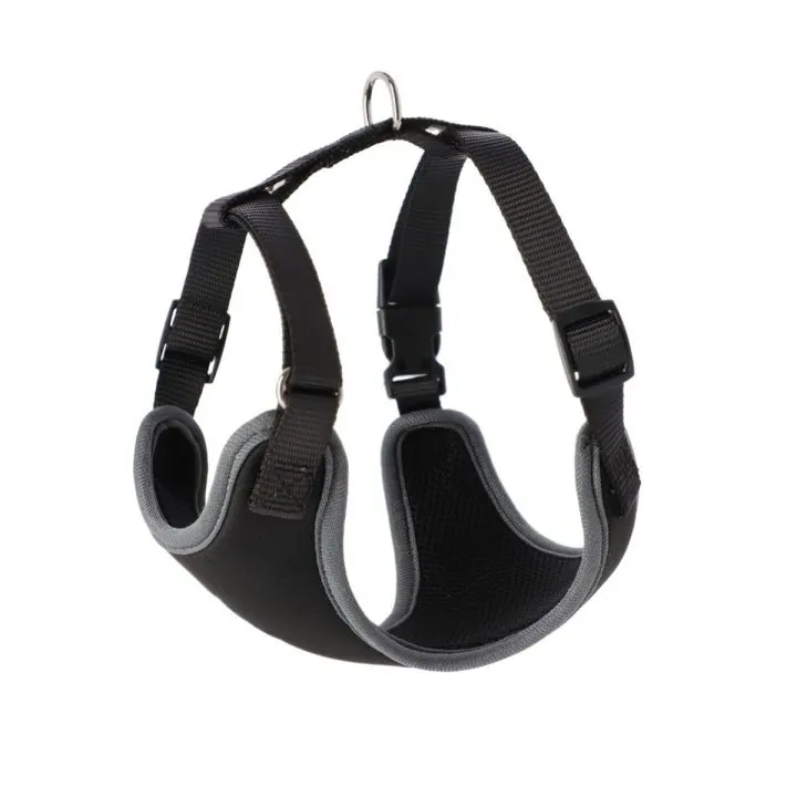 Postroj pre psa Dingo 15866 Čierna 28 - 40 cm