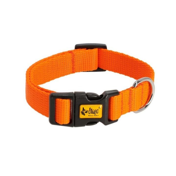 Psí obojok Dingo 14754 Oranžová 28 cm 20 cm